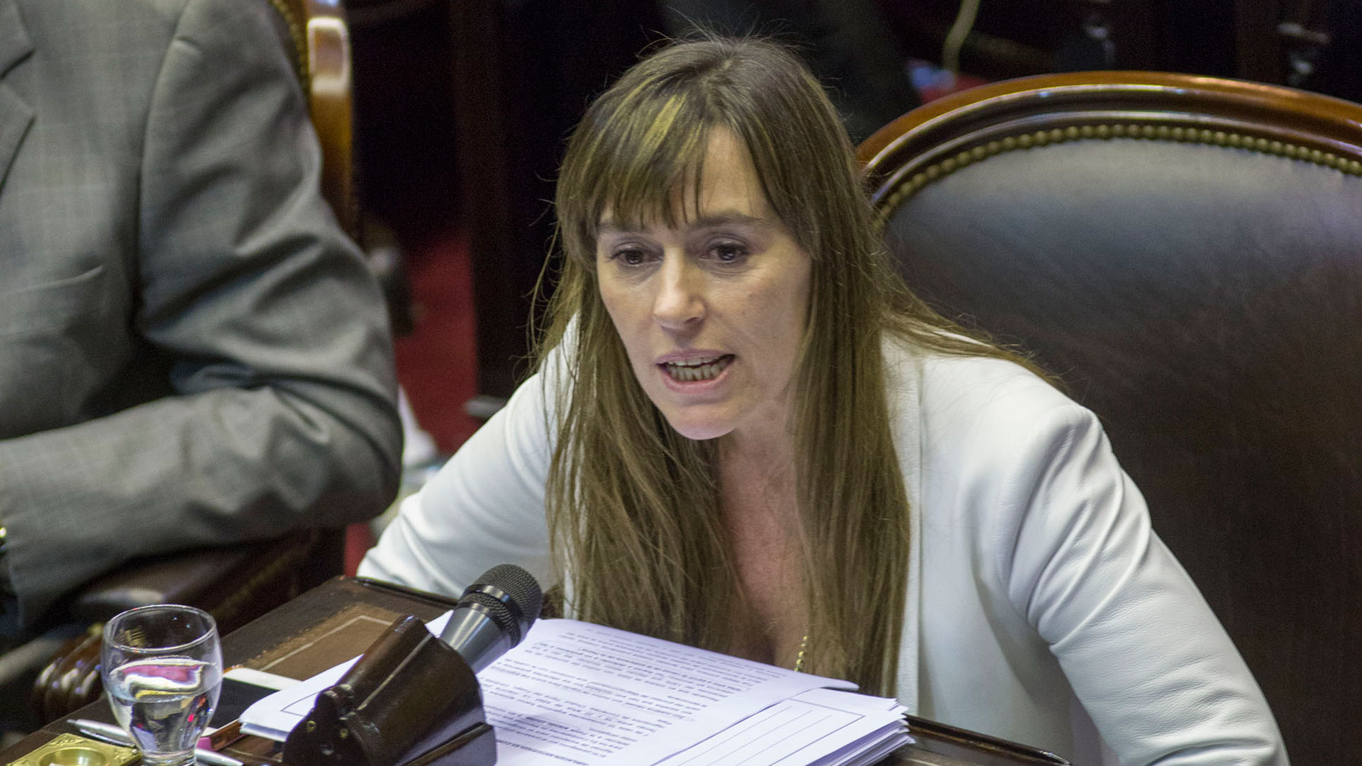 Juliana Di Tullio: «En la sesión de hoy la oposición abandonó al pueblo argentino»